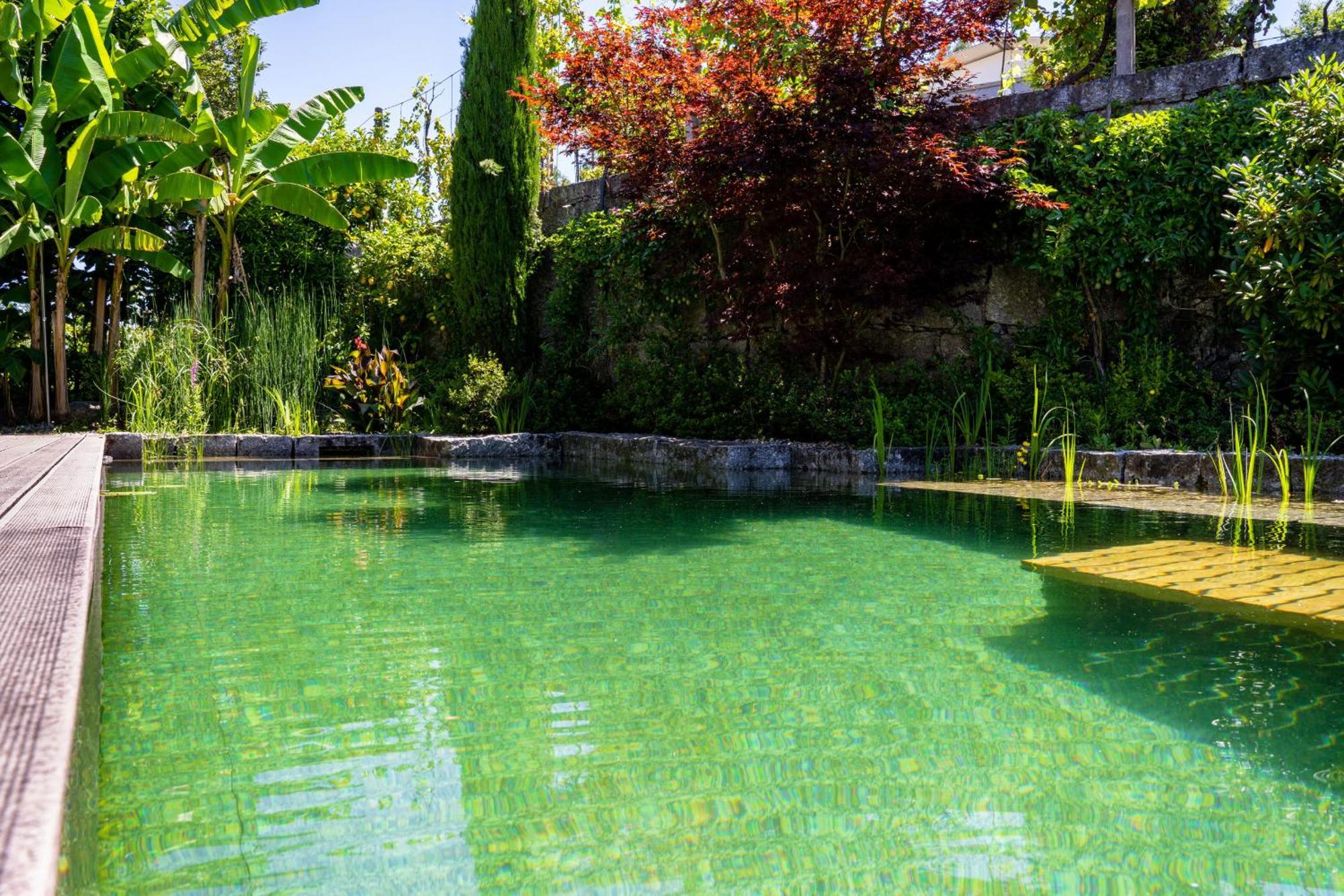 Gondomar Guimaraes - Moradia V3 Com Piscina Natural By House And People Exterior foto